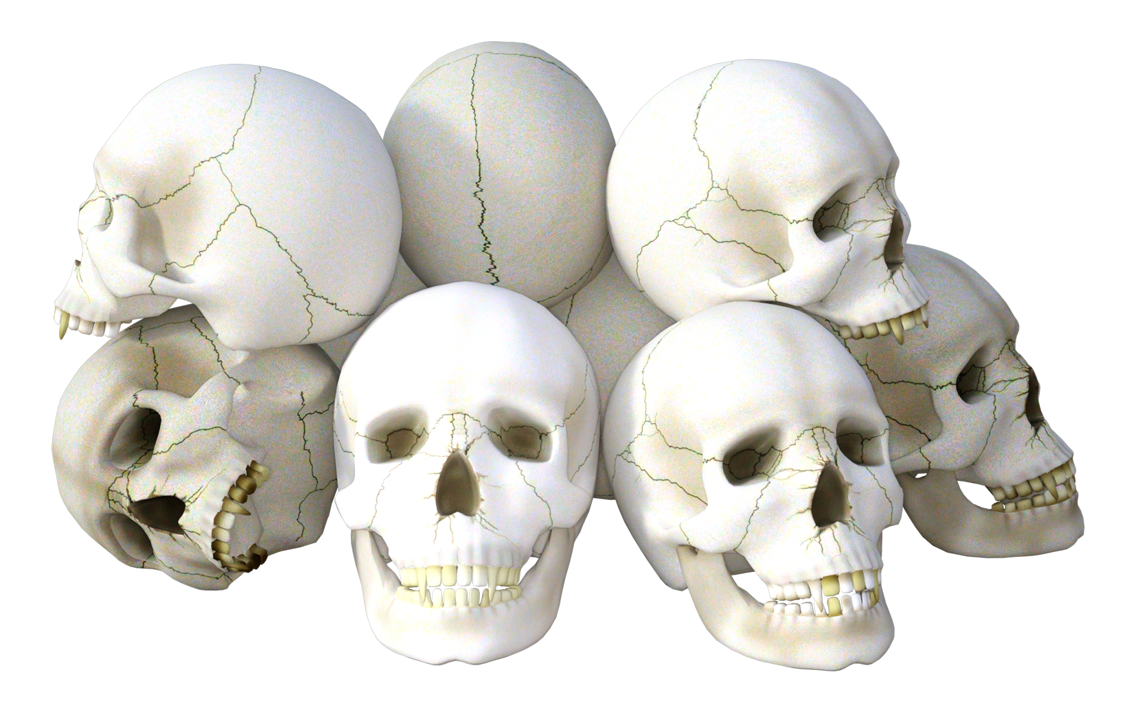 A pile of skulls as a warning