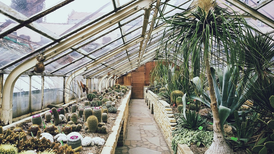 Desert Biodome