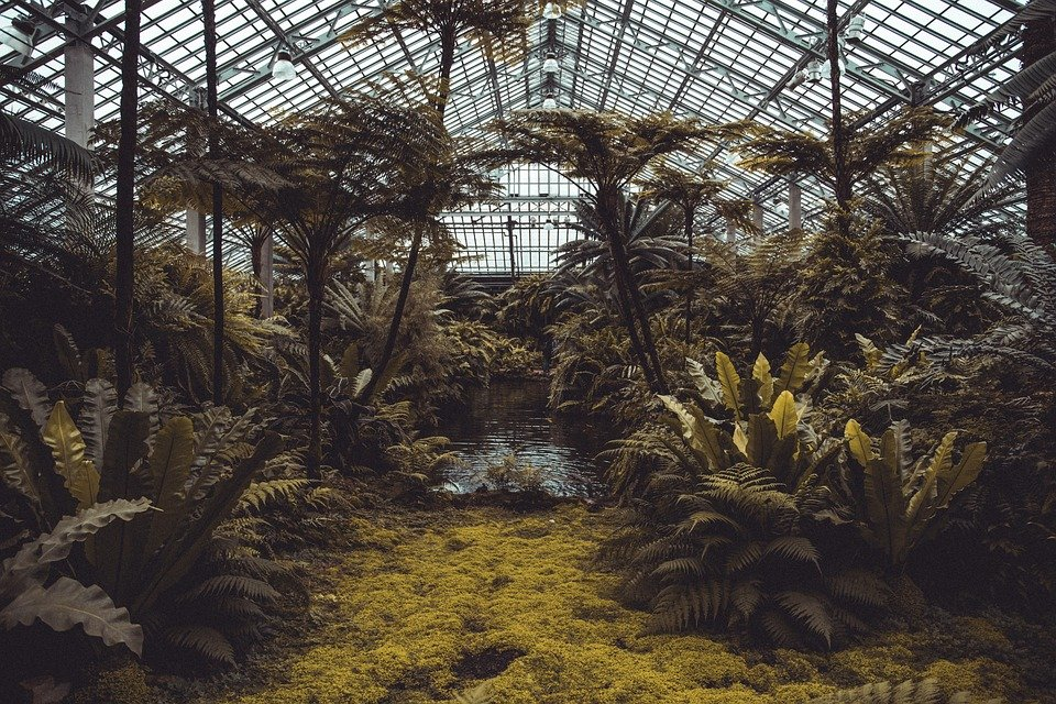 Tropical Biodome